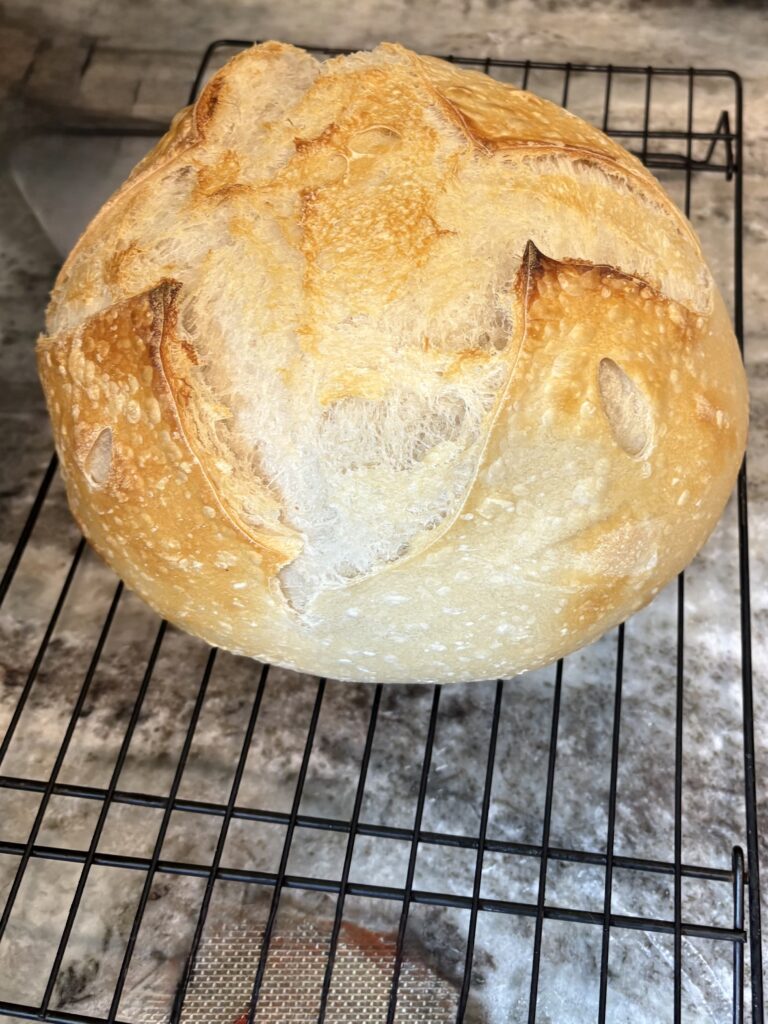 Sourdough Loaf