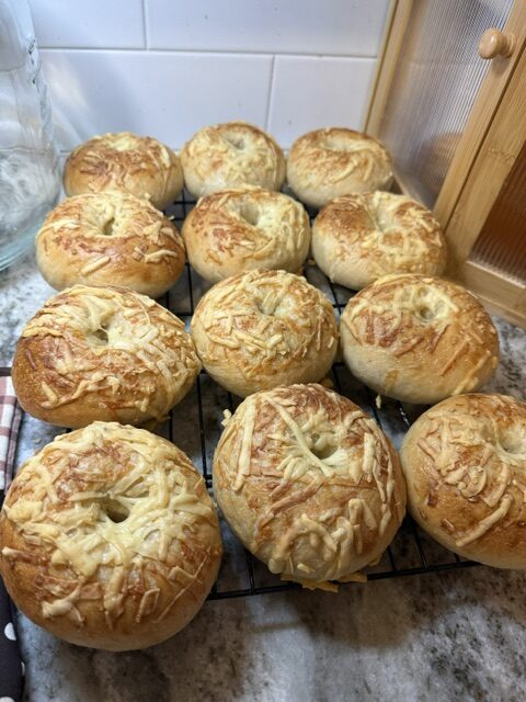 Asiago Bagels