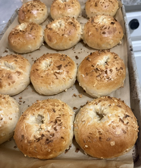 Onion Bagels
